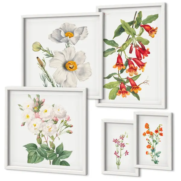 Floral botanical illustrations set of 5 wall art pieces