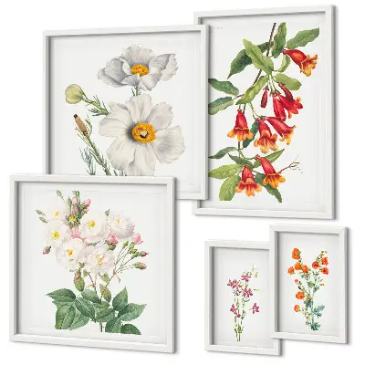 Set of 5 wall art pieces Floral Botanical Illustrations