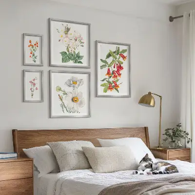 Set of 5 wall art pieces Floral Botanical Illustrations