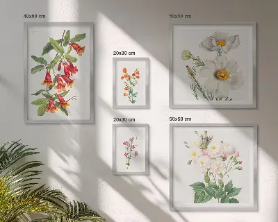 Set of 5 wall art pieces Floral Botanical Illustrations