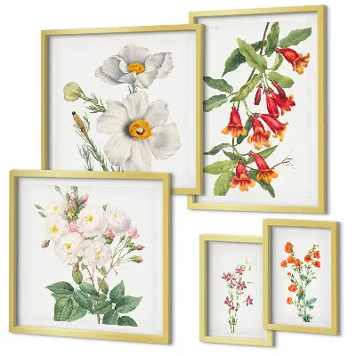 Set of 5 wall art pieces Floral Botanical Illustrations