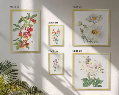 Set of 5 wall art pieces Floral Botanical Illustrations