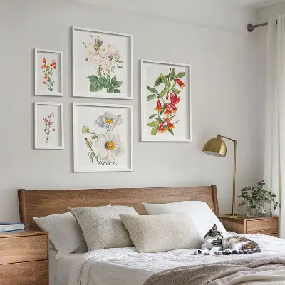 Set of 5 wall art pieces Floral Botanical Illustrations
