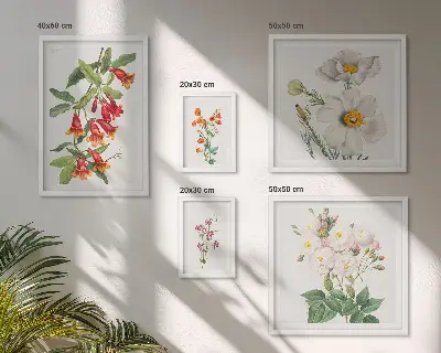 Set of 5 wall art pieces Floral Botanical Illustrations