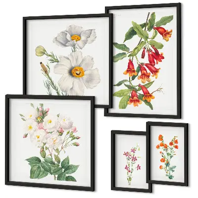 Set of 5 wall art pieces Floral Botanical Illustrations