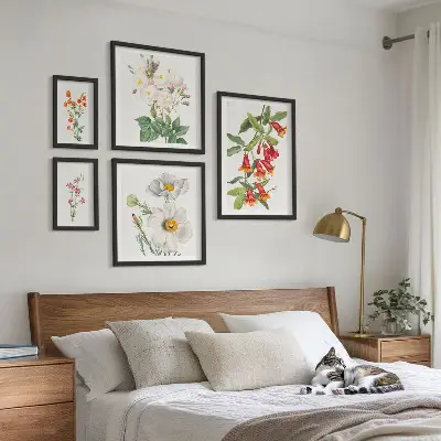 Set of 5 wall art pieces Floral Botanical Illustrations