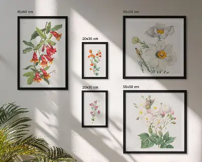 Set of 5 wall art pieces Floral Botanical Illustrations