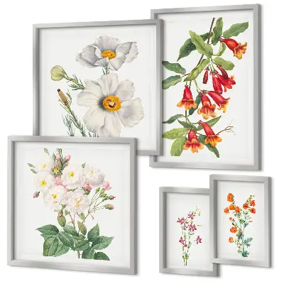 Floral botanical illustrations set of 5 wall art pieces