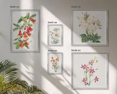 Gallery wall Floral botanical motifs