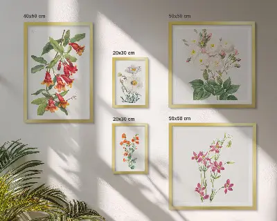 Gallery wall Floral botanical motifs