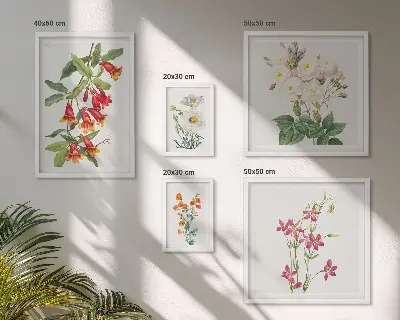 Gallery wall Floral botanical motifs