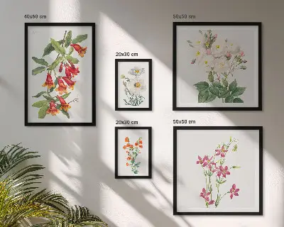 Gallery wall Floral botanical motifs