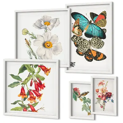 Framed photo set Flowers butterflies birds vintage decorations