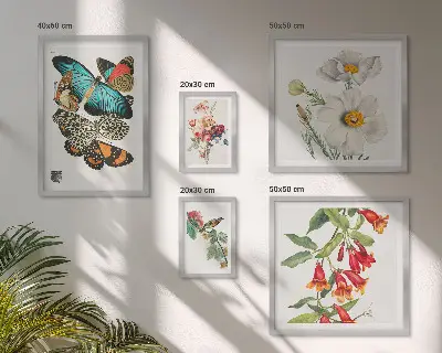 Framed photo set Flowers butterflies birds vintage decorations