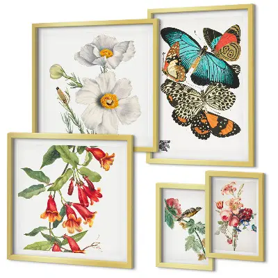 Framed photo set Flowers butterflies birds vintage decorations