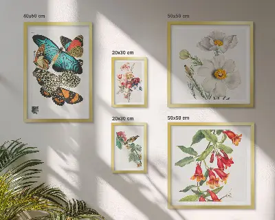 Framed photo set Flowers butterflies birds vintage decorations