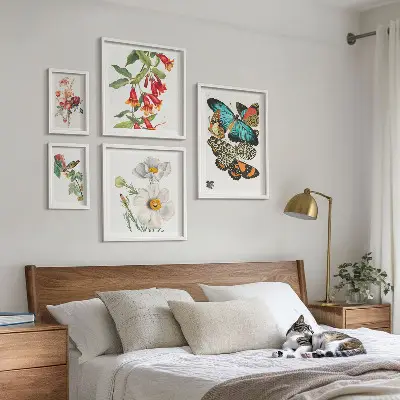 Framed photo set Flowers butterflies birds vintage decorations