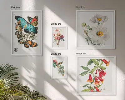 Framed photo set Flowers butterflies birds vintage decorations