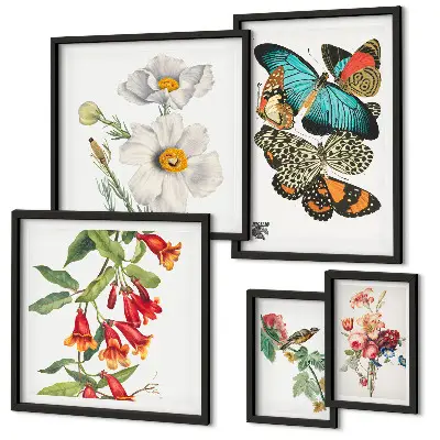 Framed photo set Flowers butterflies birds vintage decorations