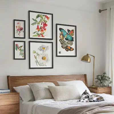 Framed photo set Flowers butterflies birds vintage decorations