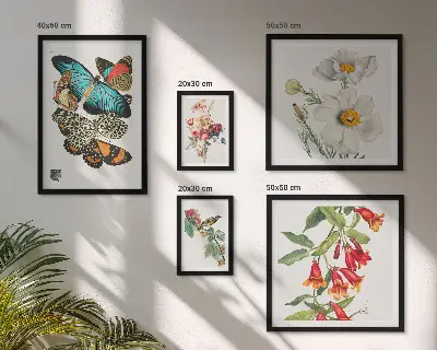 Framed photo set Flowers butterflies birds vintage decorations