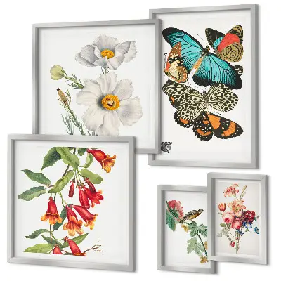 Framed photo set Flowers butterflies birds vintage decorations