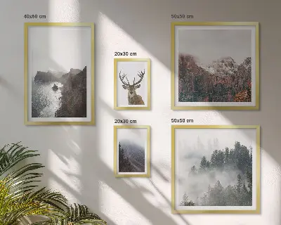 Set of 5 wall art pieces Wildlife landscapes