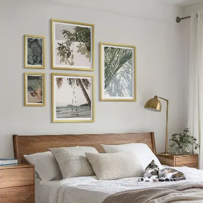 Gallery wall tropical relaxing plants design