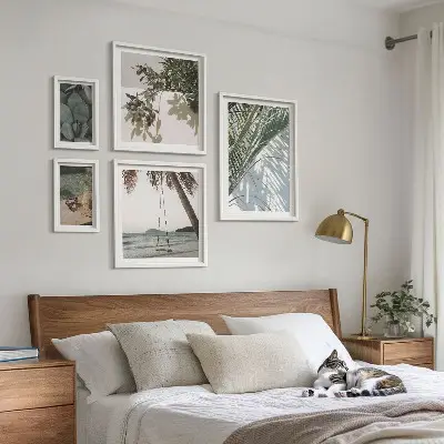 Gallery wall Tropical relaxing plants