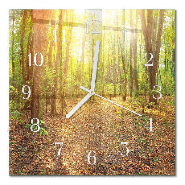 Glass wall clock square Forest path