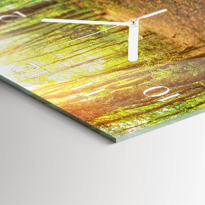 Glass wall clock square Forest path