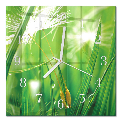 Square wall clock Grass