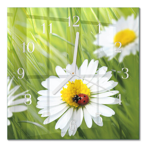 Square kitchen clock Daisies