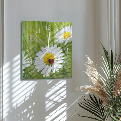 Square kitchen clock Daisies