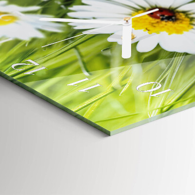 Square kitchen clock Daisies