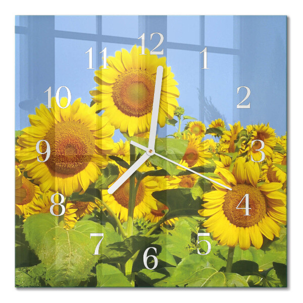 Square kitchen clock Sunflowers