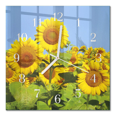 Square kitchen clock Sunflowers