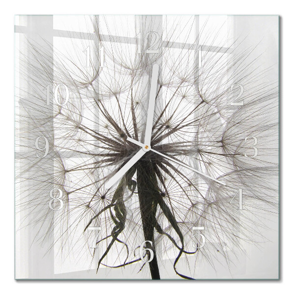 Square wall clock Dandelion