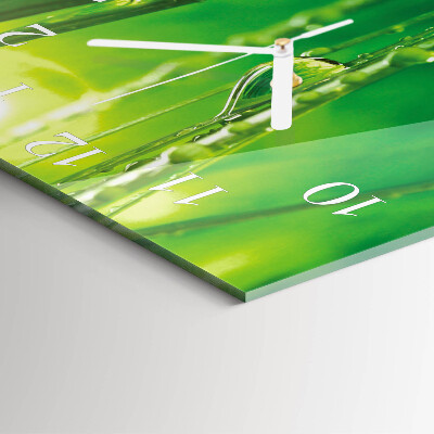 Square kitchen clock Drops on the grass
