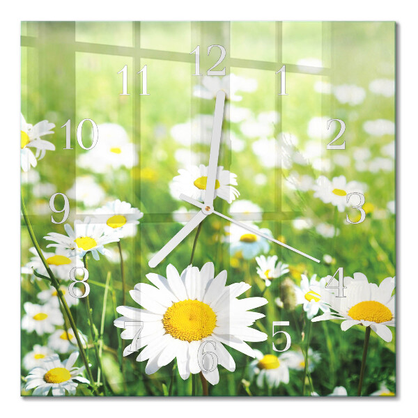 Glass wall clock square Daisies
