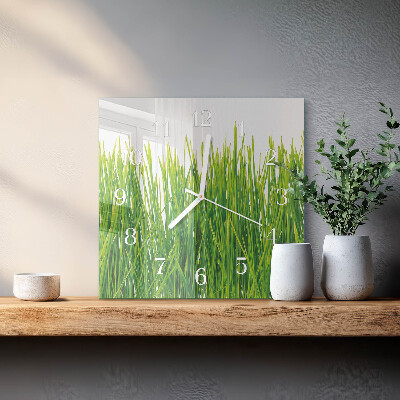 Square wall clock Grass