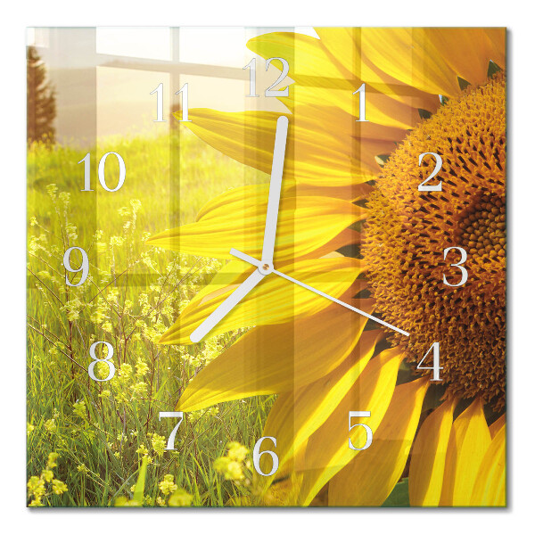 Square kitchen clock Sunflower