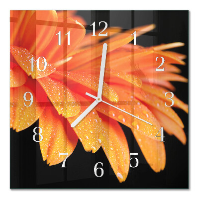 Square wall clock Gerbera