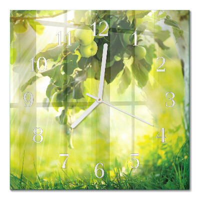 Square kitchen clock Apple tree