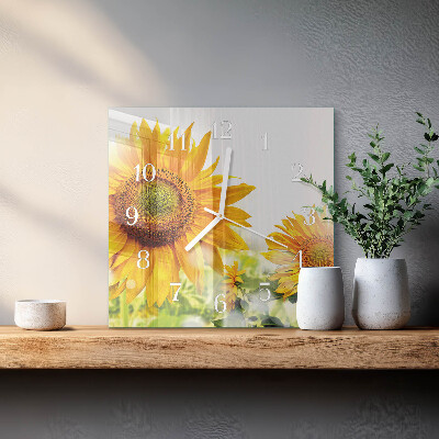 Glass clock square Sunflower