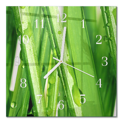 Glass wall clock square Grass