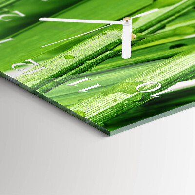 Glass wall clock square Grass