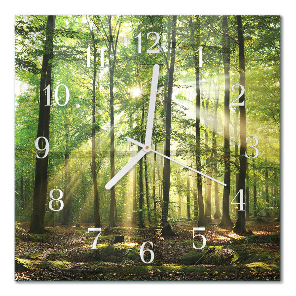 Square wall clock Forest nature