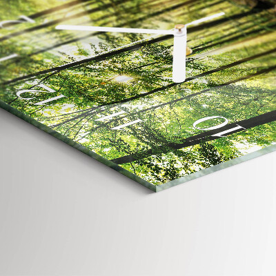Square wall clock Forest nature