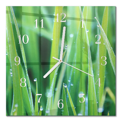 Square wall clock Grass